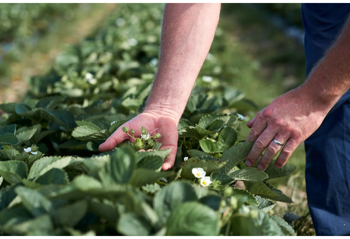 Україна та ЄС оновили Угоду про зону вільної торгівлі (ПВЗВТ)