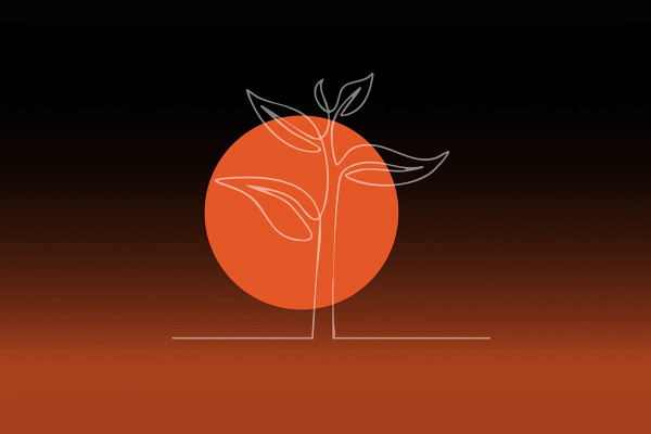 Фонд IFRUM розпочинає приймання заявок на грантову підтримку медіа