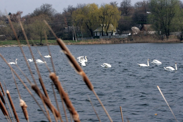 Оголошено конкурс грантів SoS2LearnDBS для громад басейну Дунаю та Чорного моря