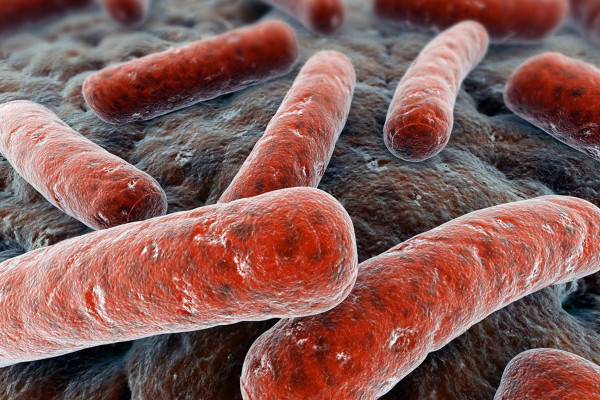 В Україні запроваджують пришвидшену методику виявлення стійкої форми туберкульозу