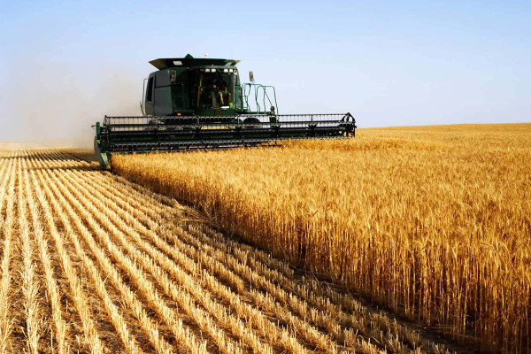 Єврокомісія офіційно створила Платформу «Україна-ЄС» для підтримання зв’язків із бізнесом