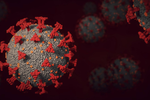 У ЄС повідомляють про завершення надзвичайної фази пандемії коронавірусу