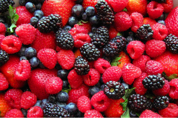 В Україні презентували посібник для експортера ягід до країн Європейського Союзу